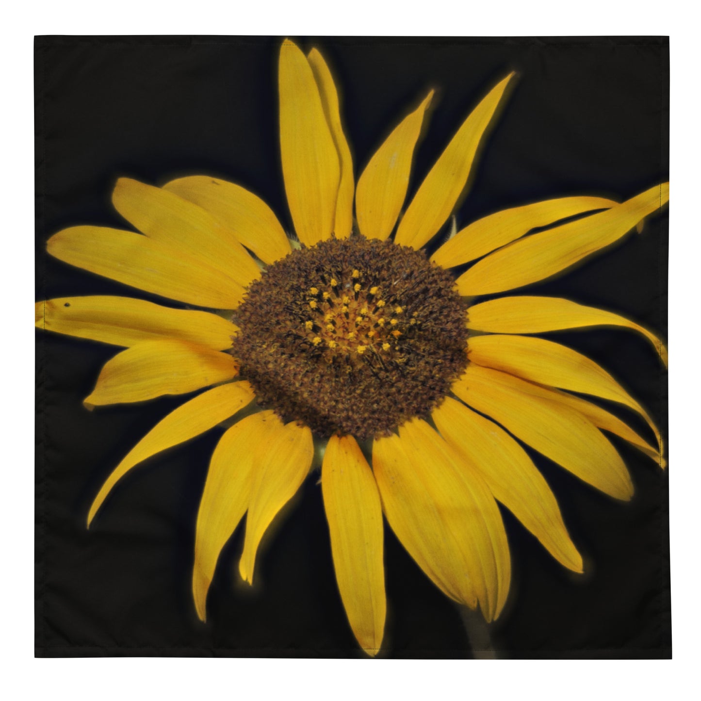 Sunflower All-over print bandana